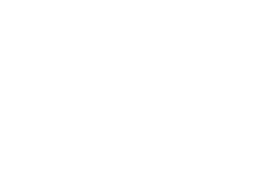Values_Franchise-1