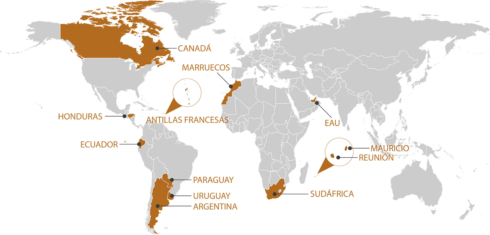 RGIS_FRANCHISE_WORLD_ES